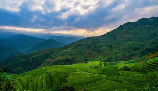 稻田梯农村或MuCangChaiYenBai农村地区绿田亚洲越南夏季山谷的空中最佳景象图片