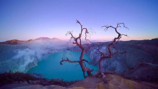 日出时在KawahIjen火山和绿松石硫湖的木无叶树上印度尼西亚东爪哇全景自然观背图片