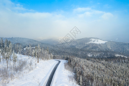 寒冷的冬季森林和道路图片