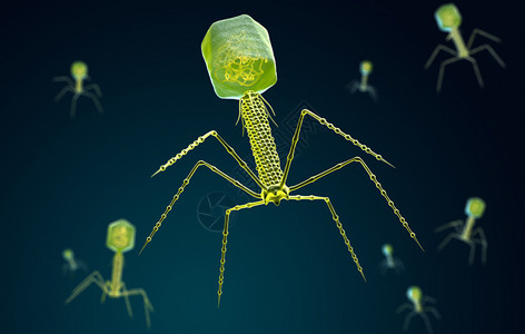 3D插图细菌的立体可视化图片