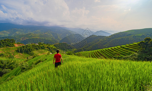 一名亚洲旅游男子在越南MuCangChaiYenBai山谷的MuChaiMuBai农村的稻田小边观望亚洲旅游男子夏季行和假期概念图片