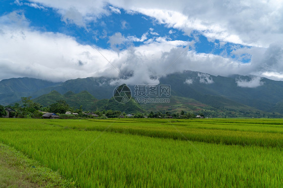 稻田梯MuCangChai农村或地区绿田YenBai越南亚洲日落时山丘谷自然景观背图片