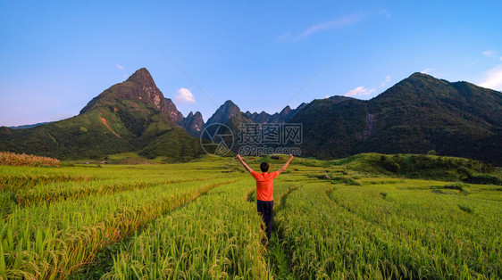 一名亚洲旅游男子在越南萨帕Sapa的旅游行和假期概念中夏季在Fansipan山上与稻田谷一起观望图片