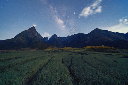 夏日的芬西潘山谷有星奶路和稻田夜间农越南萨帕自然景观背图片