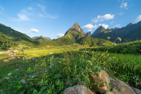 夏日的芬西潘山谷在旅行和假期概念中带鲜花和蓝天空越南萨帕风景背图片