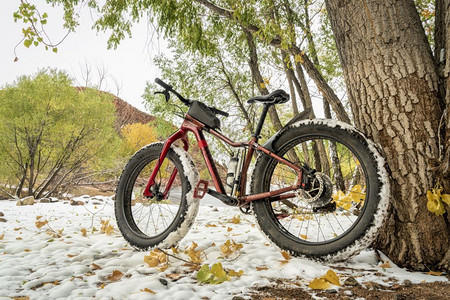 在湖岸的上骑着山肥自行车秋天的风景雪科罗拉多北部的马牙储藏室背景图片