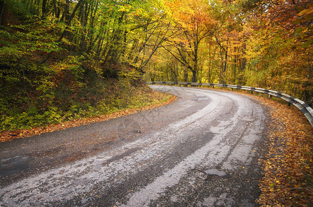 秋天木头的公路自然成分图片