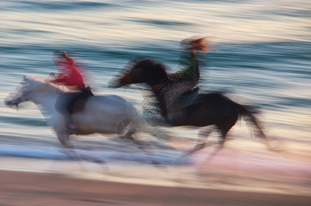 马在海上行驶快速运动场景图片