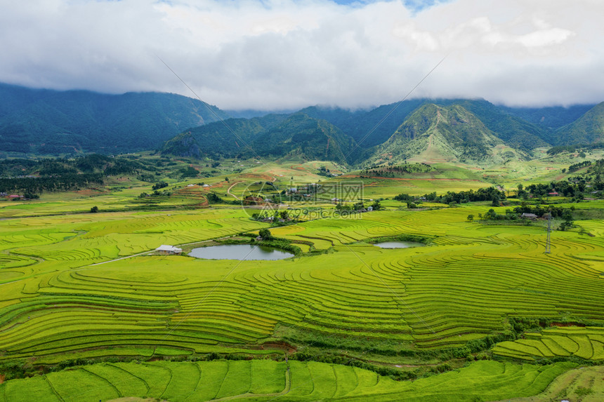 夏季Fansipan山区谷的空中景象有稻田梯农村地区的绿色田旅行和假期概念越南萨帕自然景观图片