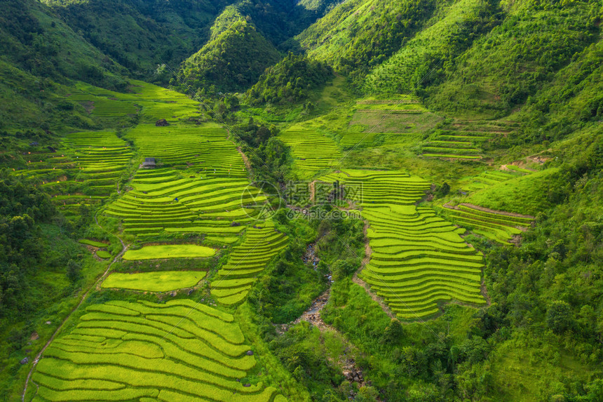 夏季Fansipan山区谷的空中景象有稻田梯农村地区的绿色田旅行和假期概念越南萨帕自然景观图片