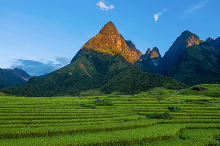 Fansipan山的空中最顶层景象有稻田梯农村或地区的绿田亚洲日落时的山谷越南萨帕图片