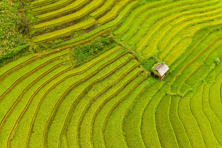 新鲜稻田梯MuCangChai农村或地区绿田亚洲越南日落时山丘谷的空中顶层景象自然观背图片