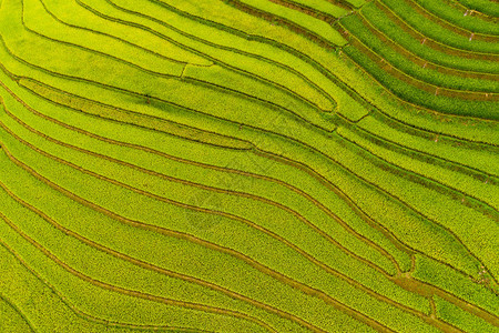新鲜稻田梯MuCangChai农村或地区绿田亚洲越南日落时山丘谷的空中顶层景象自然观背图片