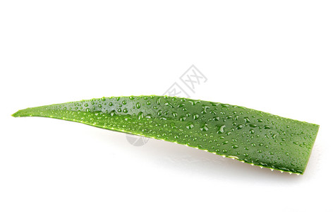 水滴白色背景上的AloeVera背景