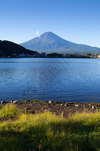 夏季日本藤山图片