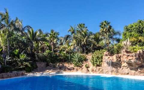 棕榈和热带海滩背景图片