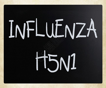H5N1流感的图像图片
