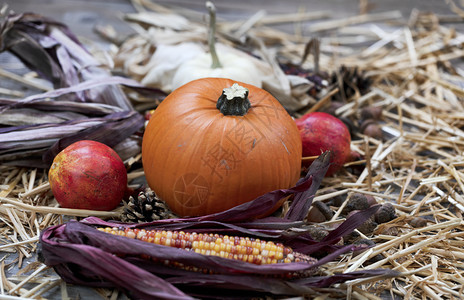 由南瓜玉米果和松南瓜玉米和松果组成的秋季前方装饰品以及感恩节或万圣的稻草图片
