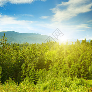 太阳落山夏天是喀尔巴阡山图片