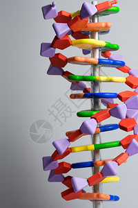 科学研究实验室的分子DNA和原模型图片