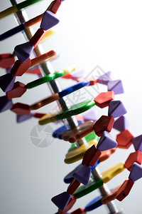 科学研究实验室的分子DNA和原模型图片