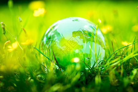 绿色生态环境花园中的玻璃球图片