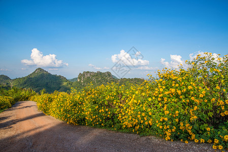 山上美丽的地风景图片