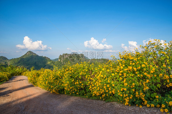 山上美丽的地风景图片