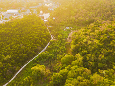 泰公园热带森林绿树夏季山区或丘的空中最高峰自然景观图案背图片