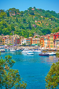 意大利古里亚Portofino镇和意大利古里亚有船只和水边港口多彩房屋的港口图片