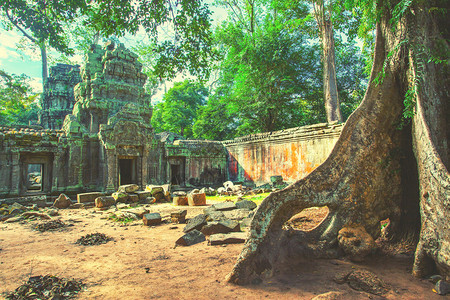 柬埔寨吴哥寺庙古老的废墟图片