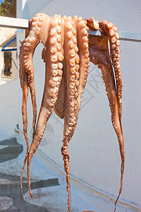 希腊在阳光下擦干章鱼希腊图片