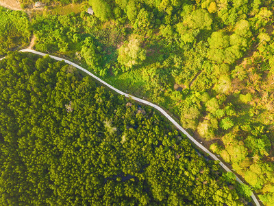 在泰公园的热带森林和夏季的山丘或中从空对道路的顶层视线上面有红绿树自然景观图案背图片