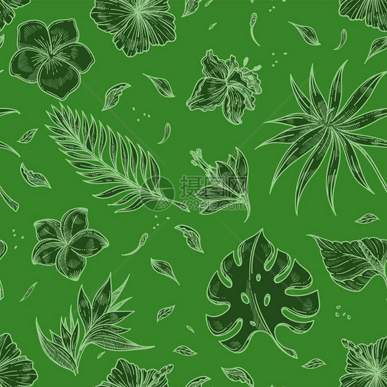 热带棕榈叶无缝图案背景用于时尚夏季天堂印刷背景的怪兽热带外来叶的矢量植物设计热带棕榈叶无缝图案背景图片