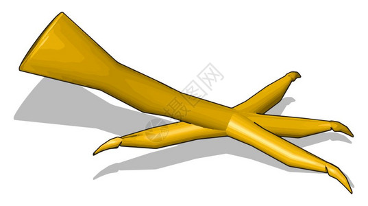 打破偏见鹰爪插图白色背景的矢量插画