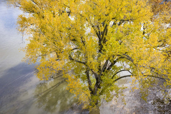 内布拉斯加朗维尔河水淹密苏里岸上落色的棉花树从空中角度看图片