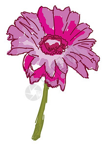 山花背景粉红花插图白色背景的矢量插画