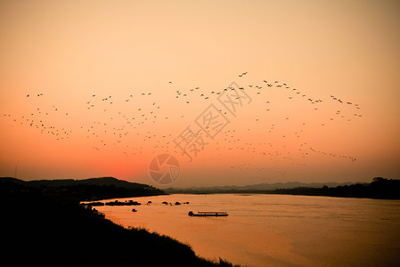 太阳日落之夜与鸟在湖橙天空湄公河日落亚洲上方飞鸟图片
