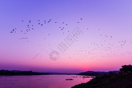 太阳日落之夜在紫天湖湄公河日落亚洲上方的鸟飞图片