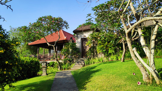 具有热带道路和植物的巴厘岛豪华别墅图片