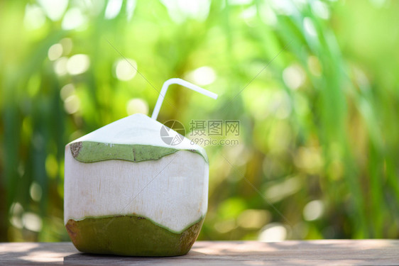 饮用新鲜椰子果汁夏季自然绿色背景的年轻椰子果图片