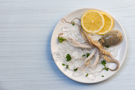 海食鱿鱼板洋美食新鲜章鱼冰柠檬面的章鱼白板桌底图片