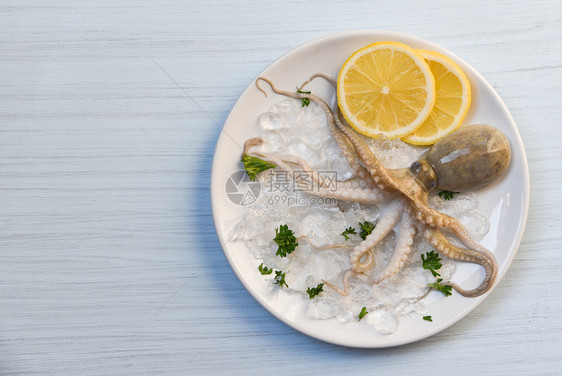 海食鱿鱼板洋美食新鲜章鱼冰柠檬面的章鱼白板桌底图片