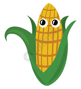 大自然食物新鲜玉米插图白色背景的矢量插画