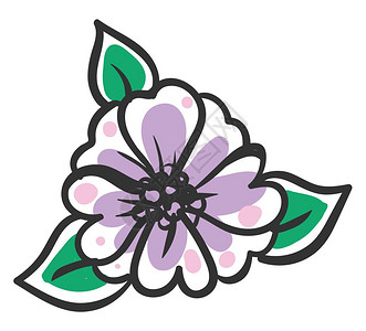 茉莉花一系列产品包装插画_茉莉花一系列产品包装卡通_茉莉花一系列产