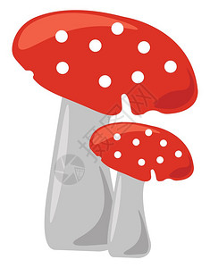 去角质膏蘑菇插图白色背景的矢量插画