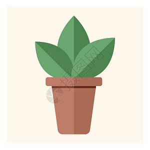 绿色环保健康植物在锅插图白底矢量中插画