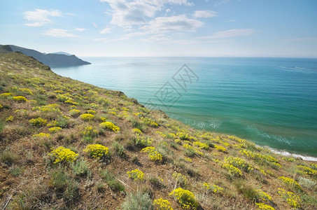 海洋和山泉湾自然游荡成形图片