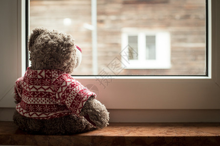小熊望着窗外背景图图片