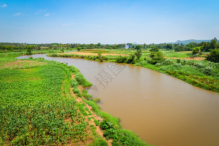 在河岸种植绿色玉米田的河流景观农业并有山丘和地背景图片